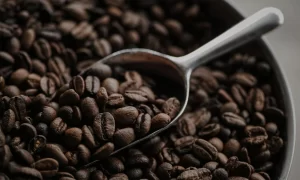 Cà phê Pulito Cafe