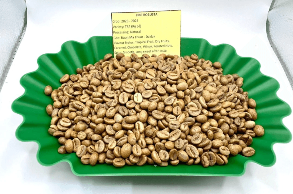 Phân Loại Cà Phê Ở Việt Nam: Khám Phá 6 Hương Vị Đặc Trưng 